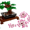 Bonsai Tree