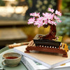 Bonsai Tree