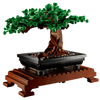Bonsai Tree