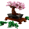 Bonsai Tree