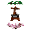 Bonsai Tree