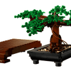 Bonsai Tree