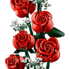 Bouquet of Roses