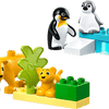 Wild Animal Families: Penguins & Lions