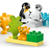 Wild Animal Families: Penguins & Lions