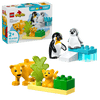 Wild Animal Families: Penguins & Lions
