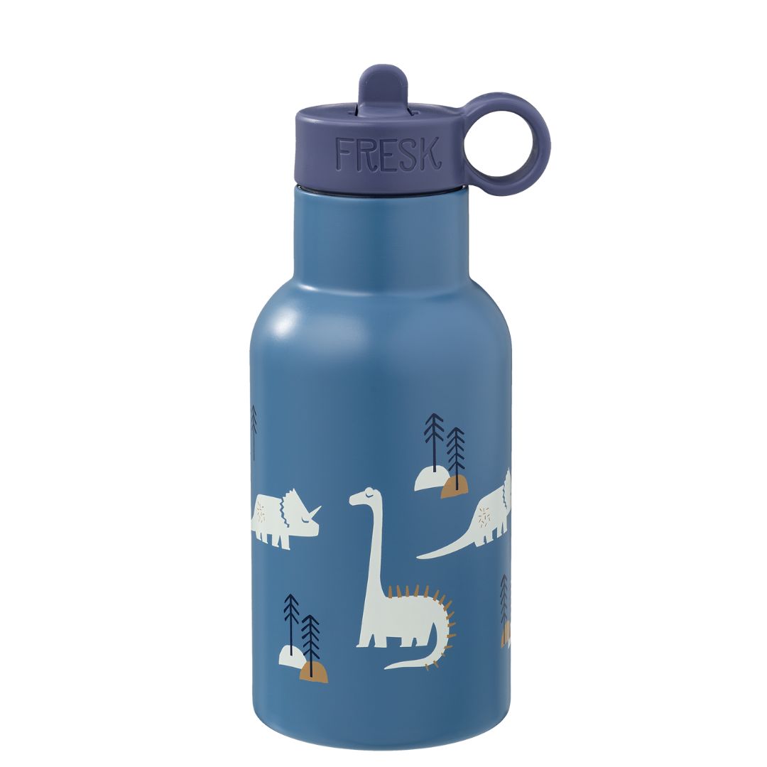 Fresk Insulated Stainless Steel Straw Bottle – Dino