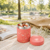 Fresk Insulated Food Thermos – Butterfly