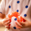 Jelly Blox Creative Set