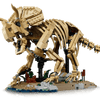 Jurassic World Dinosaur Fossils: Triceratops