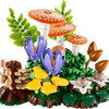 Woodland Mushrooms