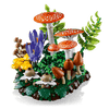 Woodland Mushrooms