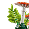 Woodland Mushrooms