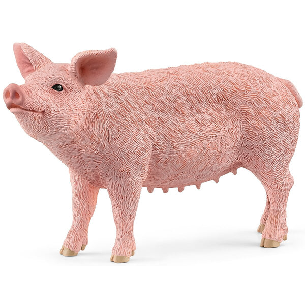 Schleich Pig