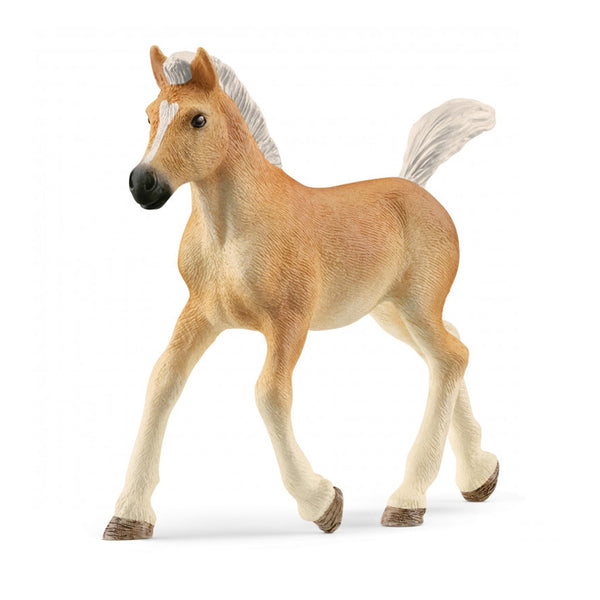 Schleich Haflinger Foal