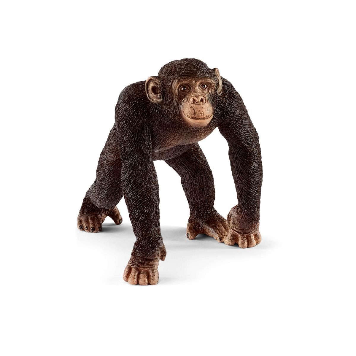 Schleich Χιμπατζής Αρσενικός