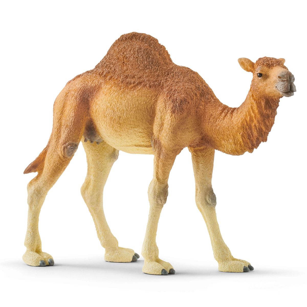Schleich Δρομέδαρος