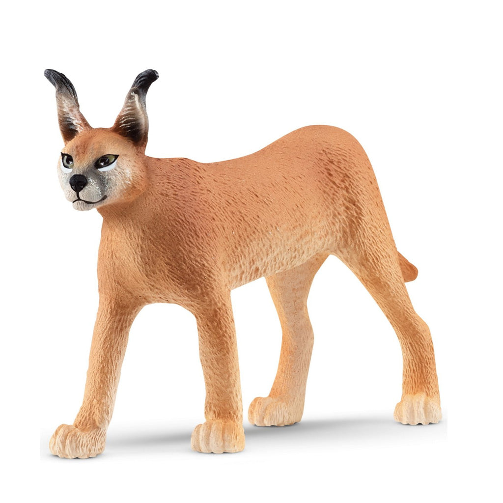 Schleich Καρακάλ Θηλυκό