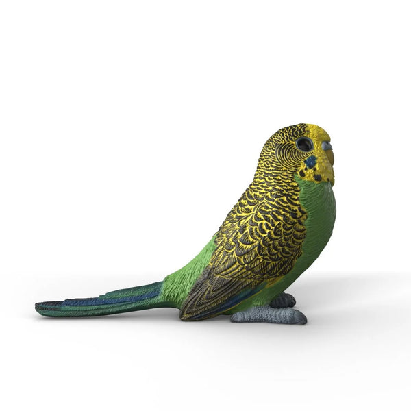 Schleich Budgie